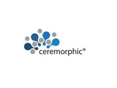 
      
      Ceremorphic Introduces Custom Silicon Development
      
      