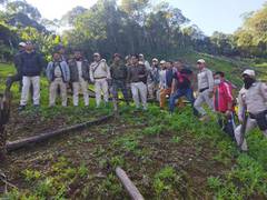
      
      Joint security team destroys opium cultivation in Manipur's Noney
      
      