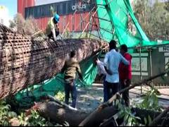 
      
      Bengaluru Metro pillar collapse: Congress demands Karnataka...
      
      