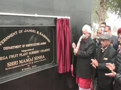 
      
      J-K: L-G inaugurates Mega Fruit Nursey in R S Pura
      
      