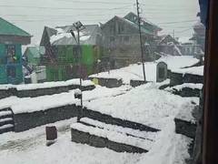 
      
      Himachal receives fresh snowfall, more likely in next 48  hrs
      
      
