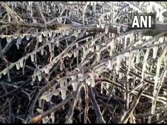 
      
      Mercury dips to freezing point in several regions of Rajasthan
      
      
