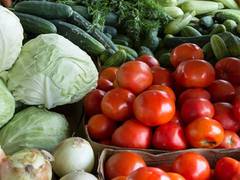 
      
      Govt aims to market organic farm produce via cooperative
      
      