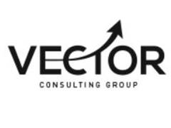 
      
      Vector Consulting Group, a leading management consulting firm
      
      