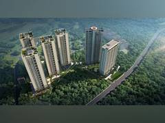 
      
      Construction of DN Pallaciya is in Full Swing
      
      