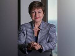 
      
      Carbon pricing standards needed to boost green energy: Experts
      
      