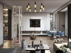 
      
      Nibav Lifts Unveils First Wireless Pneumatic Home Elevator
      
      