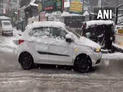 
      
      Himachal Pradesh: Tourists flock to Shimla as snowfall continues 
      
      