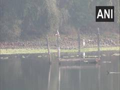 
      
      Annual Asian Waterbird Census underway, exotic species spotted
      
      