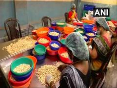 
      
      Cashew units cashing in on demand, revenue to rise 15 pc: Report
      
      