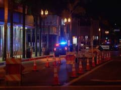 
      
      Police surround male Asian suspect in Los Angeles mass shooting 
      
      