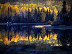
      
      'Effective protected areas needed to prevent biodiversity loss'  
      
      
