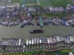 
      
      China adamant on turning environmental laws into laughing stock
      
      