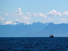 
      
      Chinese fishing ship evade marine radar by disabling transponder
      
      