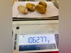 
      
      Kerala: Customs seizes gold worth Rs 48.5 lakhs at Kochi airport
      
      