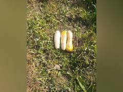 
      
      Punjab: BSF recovers 3 kg heroin in Ferozepur 
      
      