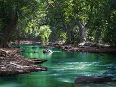 
      
      Ancestral variation guides future environmental adaptations
      
      
