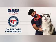 
      
      Zigly's brand campaign encourages 'No Compromise' on pet care
      
      