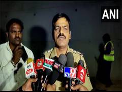
      
      Maharashtra: 12 deer die after jumping from bridge in Solapur
      
      