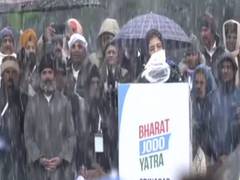 
      
      Nation sees ray of hope in Rahul Gandhi: Mehbooba Mufti
      
      