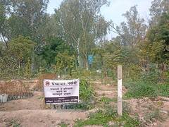 
      
      Panchayat was inaugurated in order to spread message of hariyali
      
      