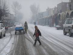 
      
      168 die due to harsh winters in Afghanistan
      
      