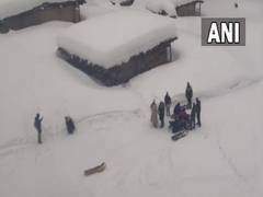 
      
      Gulmarg avalanche: 2 foreign nationals dead, 21 rescued safely
      
      