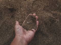 
      
      Research finds soil tainted by air pollution releases carbon
      
      
