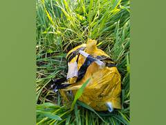 
      
      BSF foils bid to smuggle narcotics from Punjab's Fazilka
      
      