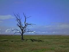 
      
      Study sheds light on how 'Earth's thermostat' regulates climate
      
      