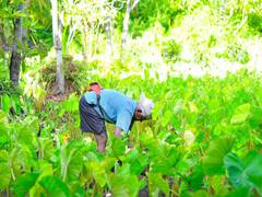 
      
      Govt focuses on empowering farmers
      
      