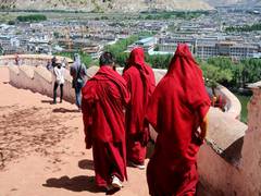 
      
      Tibetan Rights Groups condemn Thermo Fisher Scientific
      
      