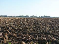 
      
      Soil tainted by air pollution releases carbon: Research
      
      