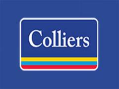 
      
      Colliers expands Pune leadership, appoints Ruchika Choudaha 
      
      