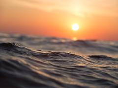 
      
      Here's why microbes in the deep ocean live without sunlight
      
      