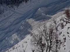 
      
      Himachal receives less snowfall this year: IMD
      
      