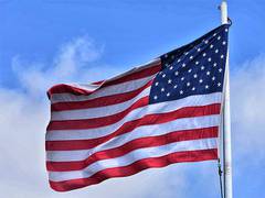 
      
      US to sell rocket launchers, ammunition to Poland 
      
      