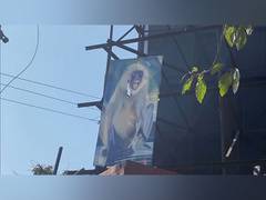 
      
      Langur posters, sensor machines to overcome monkey menace
      
      