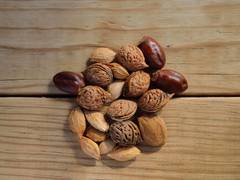 
      
      Harnessing good fats helps to relieve multiple sclerosis
      
      