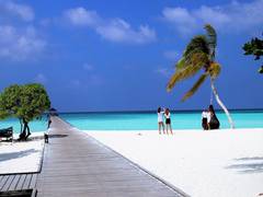 
      
      Political turmoil in Maldives ultimately benefits China: Report
      
      