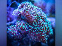 
      
      New study traces origin of life
      
      