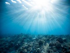 
      
      How deep ocean microbes survive without sunlight? Research finds
      
      