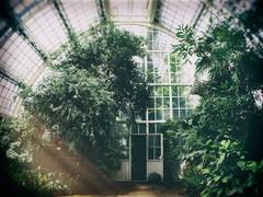 
      
      Urban gardens are good for ecosystems, humans: Study
      
      