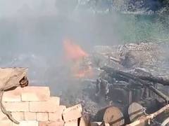 
      
      Magisterial inquiry into deaths of Kanpur woman, daughter: UP CM
      
      