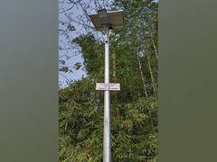 
      
      Solar lights installed to check wild animals near Kaziranga Park
      
      