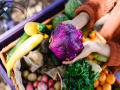 
      
      Purple veggies, tubers can lower the risk of diabetes
      
      