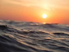 
      
      Here's how carbon dioxide is pulled out of seawater
      
      