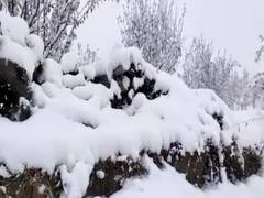 
      
      Shimla records highest min temperature of 14.4degC
      
      