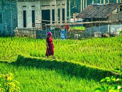 
      
      Here's how women working in Indonesia are driving force of change
      
      
