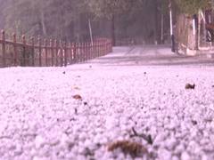 
      
      Hailstorm, lightning strikes Shimla, 121 roads closed in Himachal
      
      